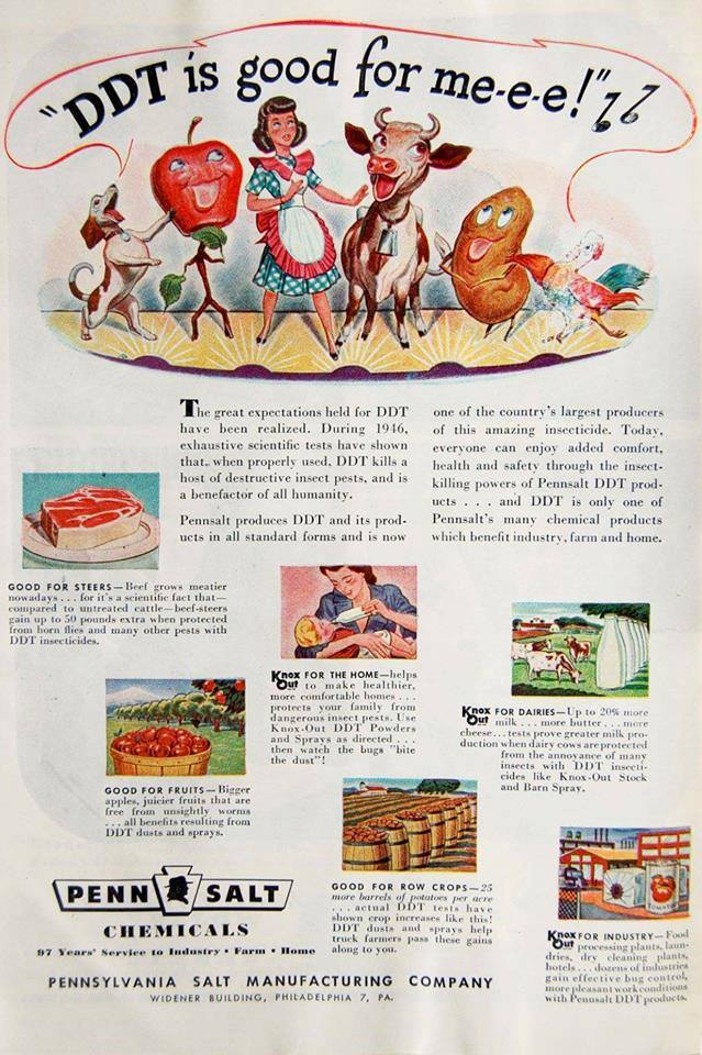 Az 1940-es �vekben m�g csodaszernek sz�m�tott a DDT, melyet sz�les k�rben haszn�ltak �s rekl�moztak. Fot�: Facebook