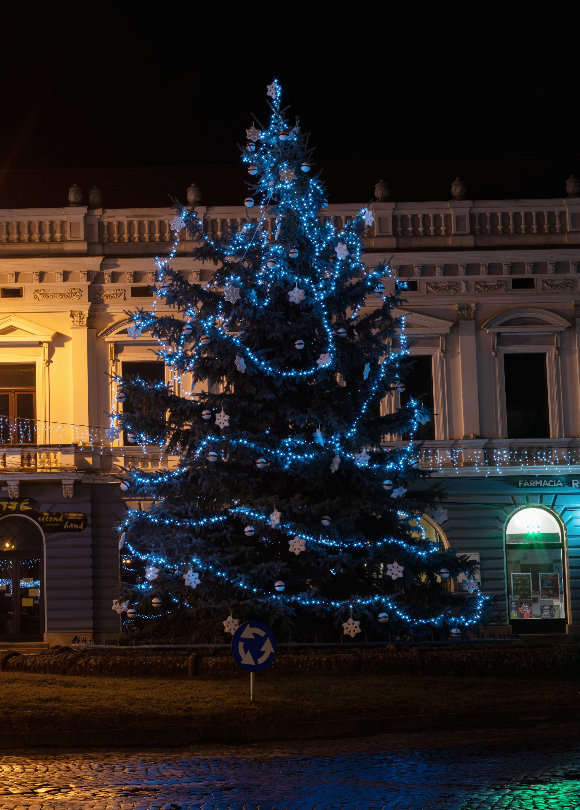 fot�: K�zdiv�s�rhely �nkorm�nyzata