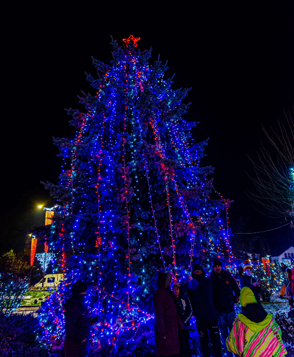 fot�: Prim�ria Municipiului Toplița Facebook oldal