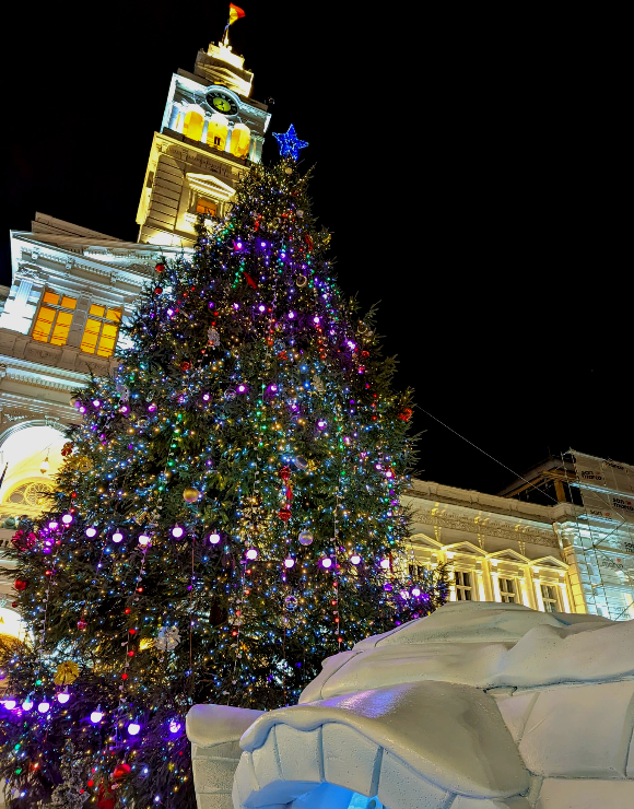 fot�: Prim�ria Municipiului Arad Facebook oldal