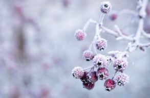 Id�j�r�sjelent�s - meddig tartanak m�g a cs�p�s fagyok?