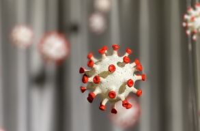 Brut�lisan megugrott a fert�z�ttek sz�ma, �s a halottak� is