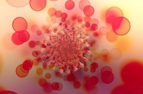 Hargita megy�ben t�z omikron gyan�s mint�b�l t�zben mutatt�k ki az �j vari�nst